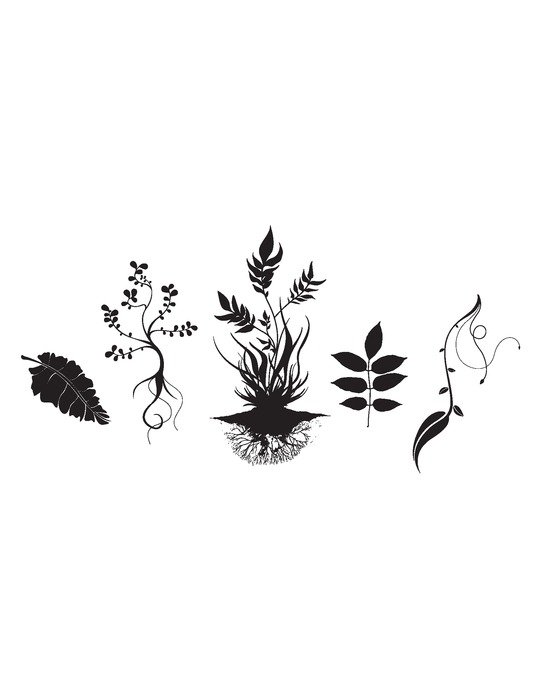 EPS S Design drawing