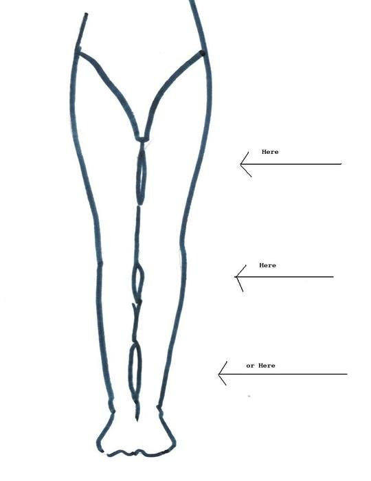 İllustration of Legs