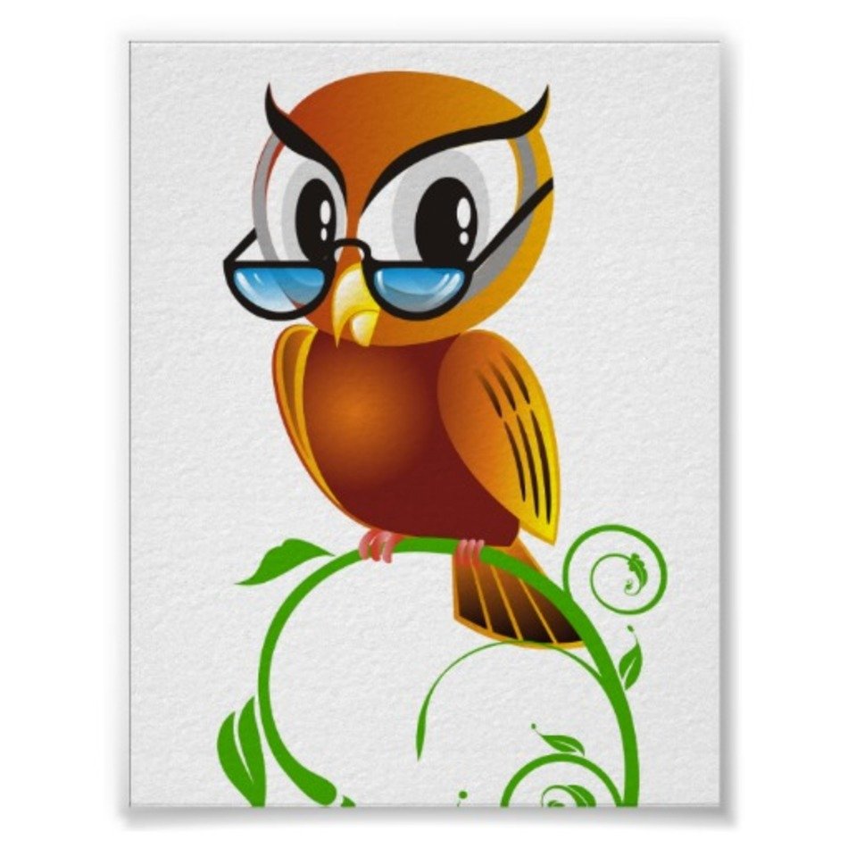 Cartoon Owl N24