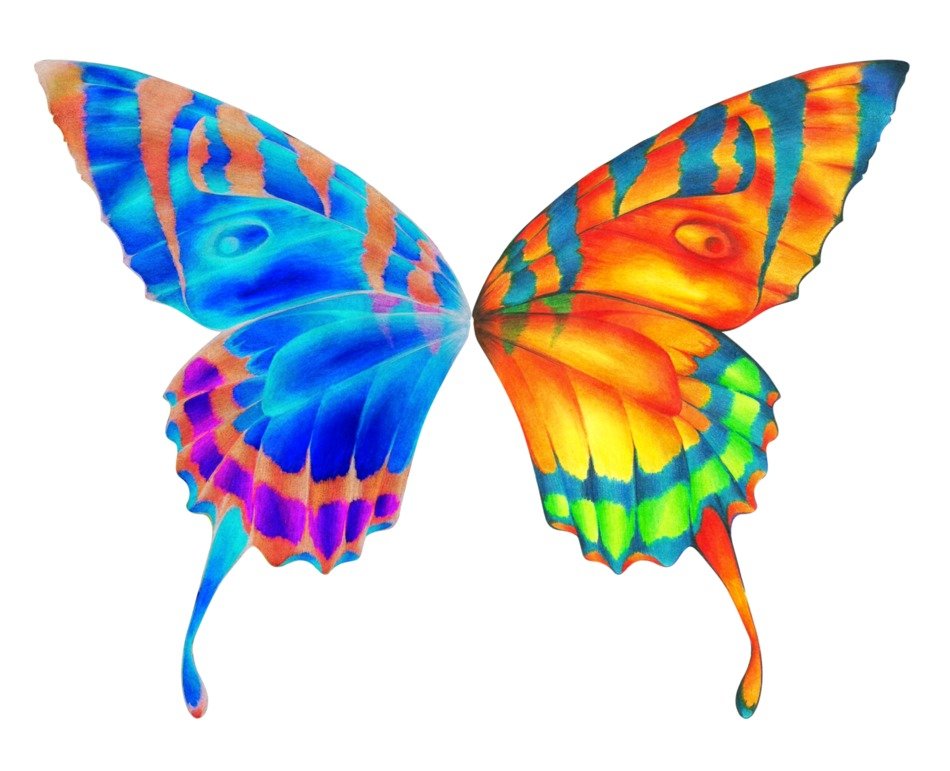 digital colorful butterfly