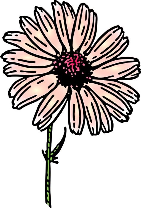 Daisy Clip Art N57