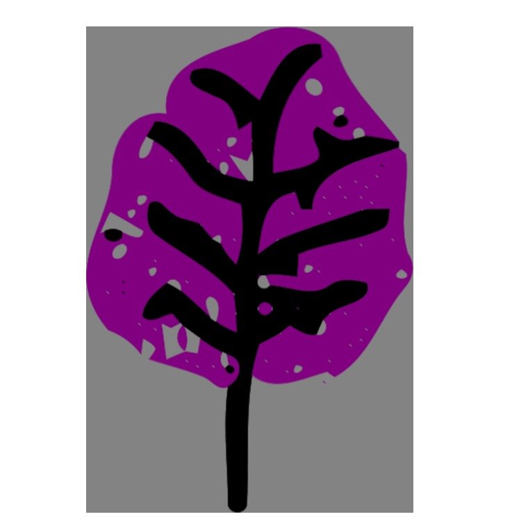 Green Leaf Color Variation A