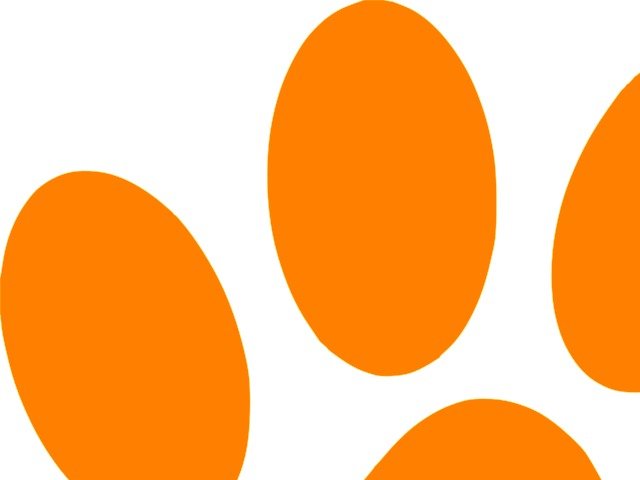 Orange Cat Clip Art N25