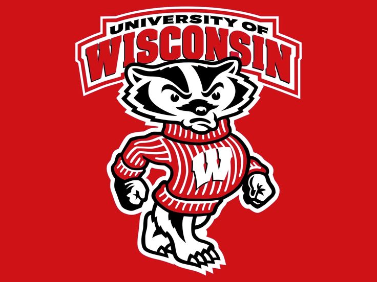 Wisconsin Badgers Logo N12 free image download