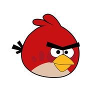 big Red Angry Bird drawing