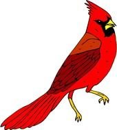 Red Cardinal Bird Clip Art N16