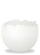 Cracked Egg By Carlitos Empty Eggshell