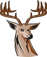 painted deer head with brown horns
