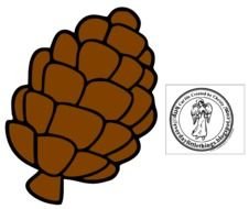 Pine Cone Cartoon N2