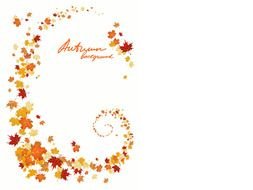 Fall Leaves Vector drawing