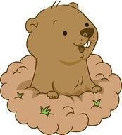cartoon gopher sticks out of a hole