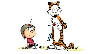 Calvin Hobbes N13