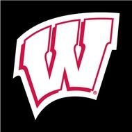 Wisconsin Badgers Logo N10
