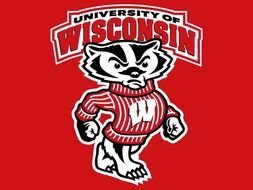 Wisconsin Badgers Logo N12