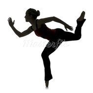 Ballet Shoes Silhouette N3