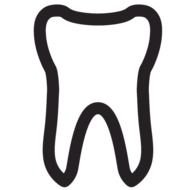 Tooth Outline N7