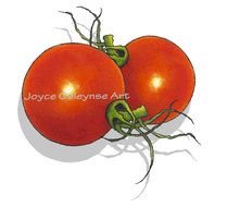 Tomatoes Clip Art N5