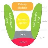 Chinese Medicine Tongue Diagnosis