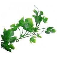 Jungle Vines Drawings N2