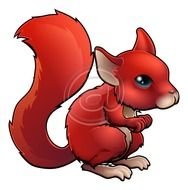 Cute Cartoon Squirrel N4