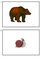 bear and snail, drawing on cards