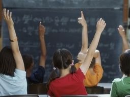 Student Raising Hand photo