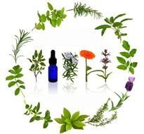Essential Oils N3