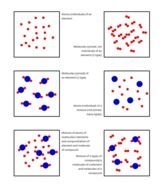 Atoms Elements Compounds And Mixtures N2
