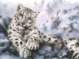 Snow Leopard, collage with animal faces