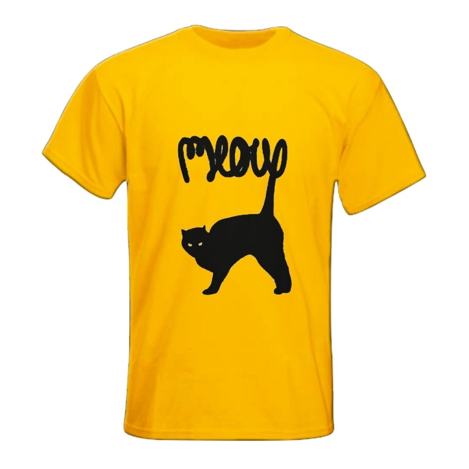 Beautiful and colorful t-shirt cat