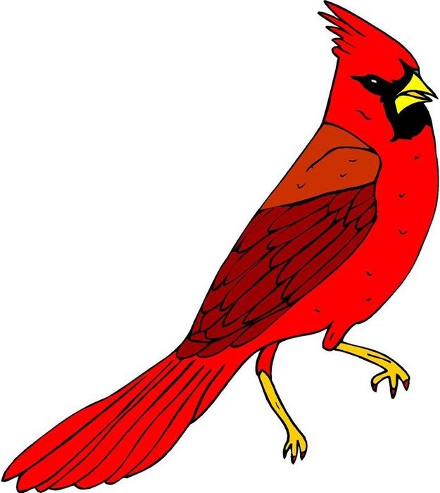 Red Cardinal Bird Clip Art N16