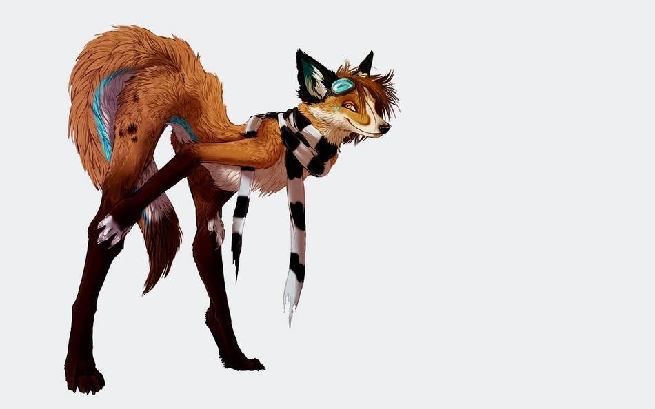 Fox Furries drawing