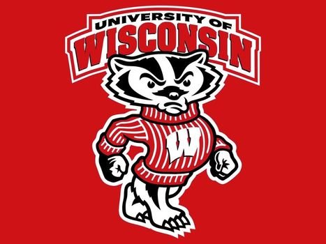 Wisconsin Badgers Logo N12