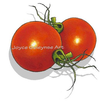 Tomatoes Clip Art N5