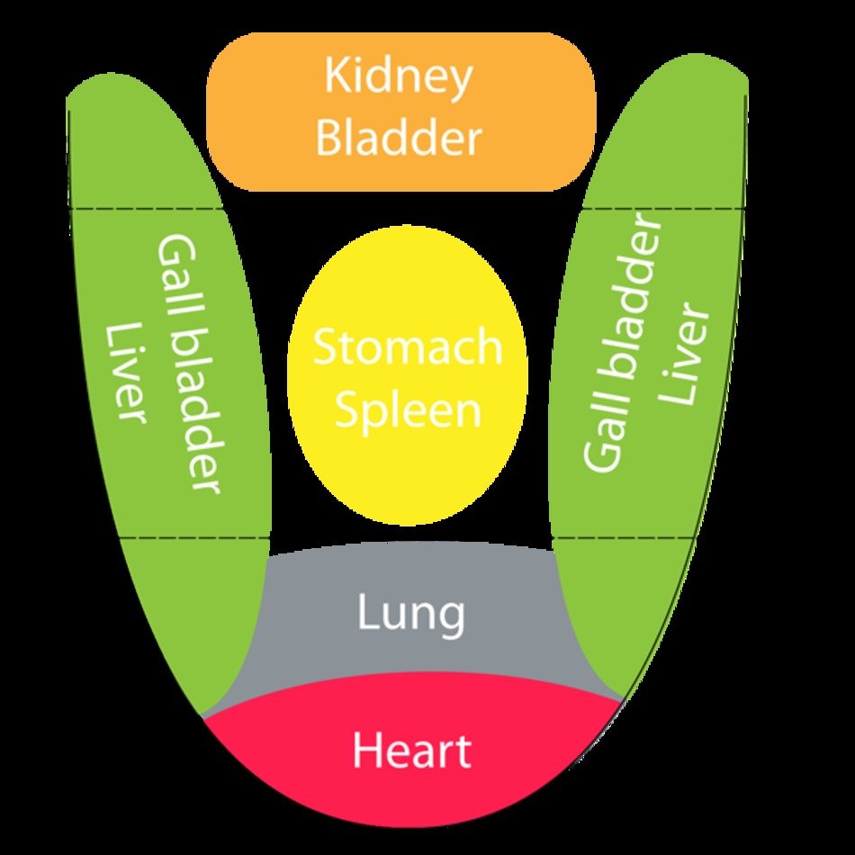 Chinese Medicine Tongue Diagnosis Free Image Download