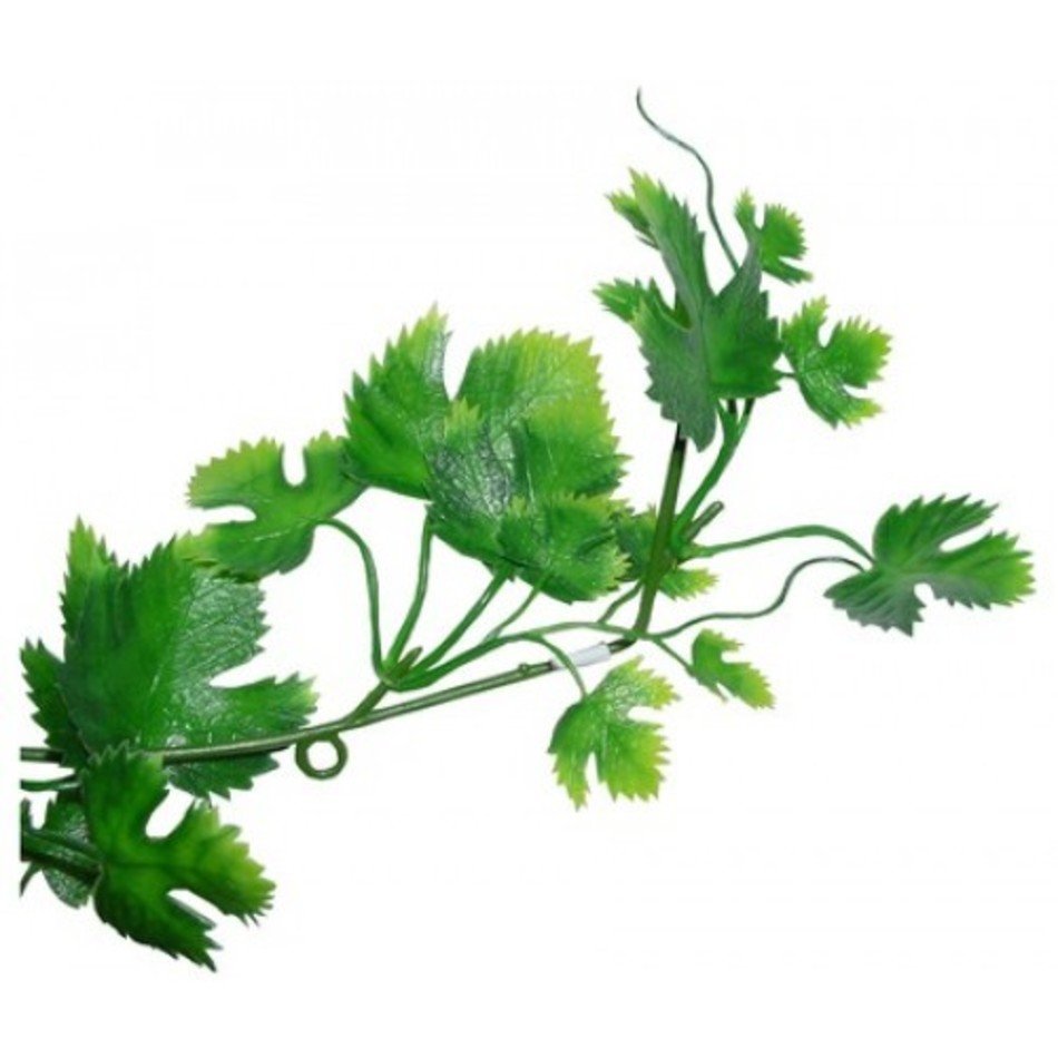 Jungle Vines Drawings N2