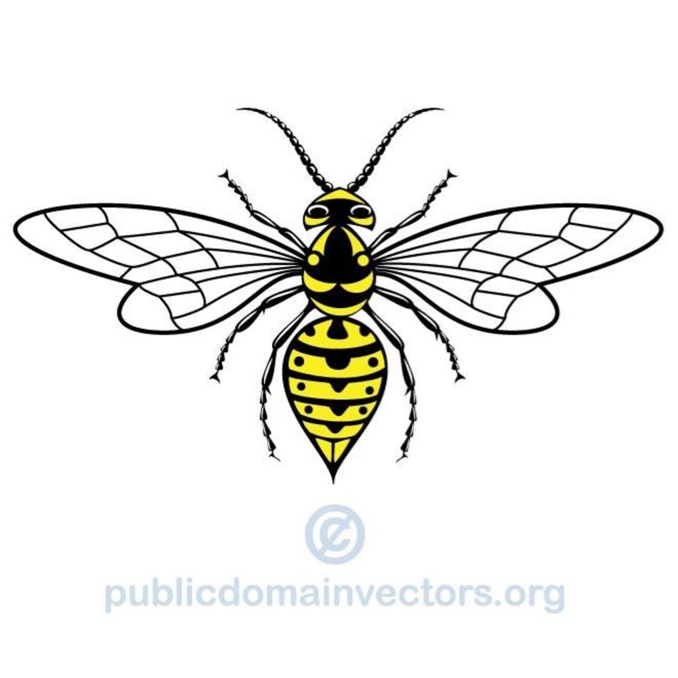 Wasp Clip Art N14