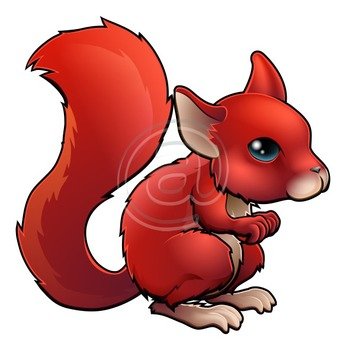 Cute Cartoon Squirrel N4