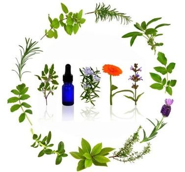 Essential Oils N3