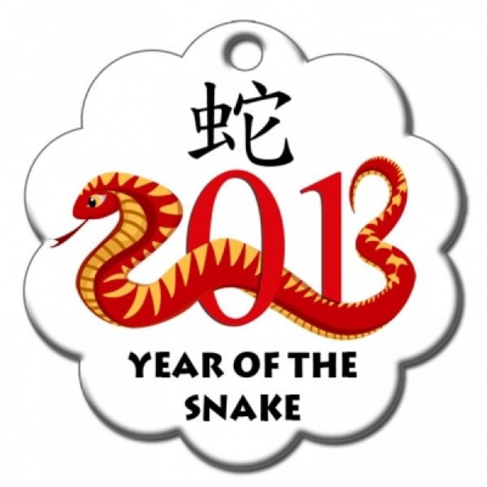 Chinese New Year Snake N5