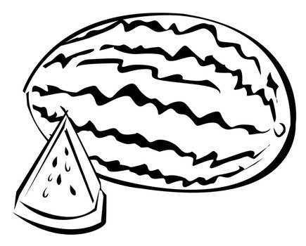 black and white drawing of watermelon