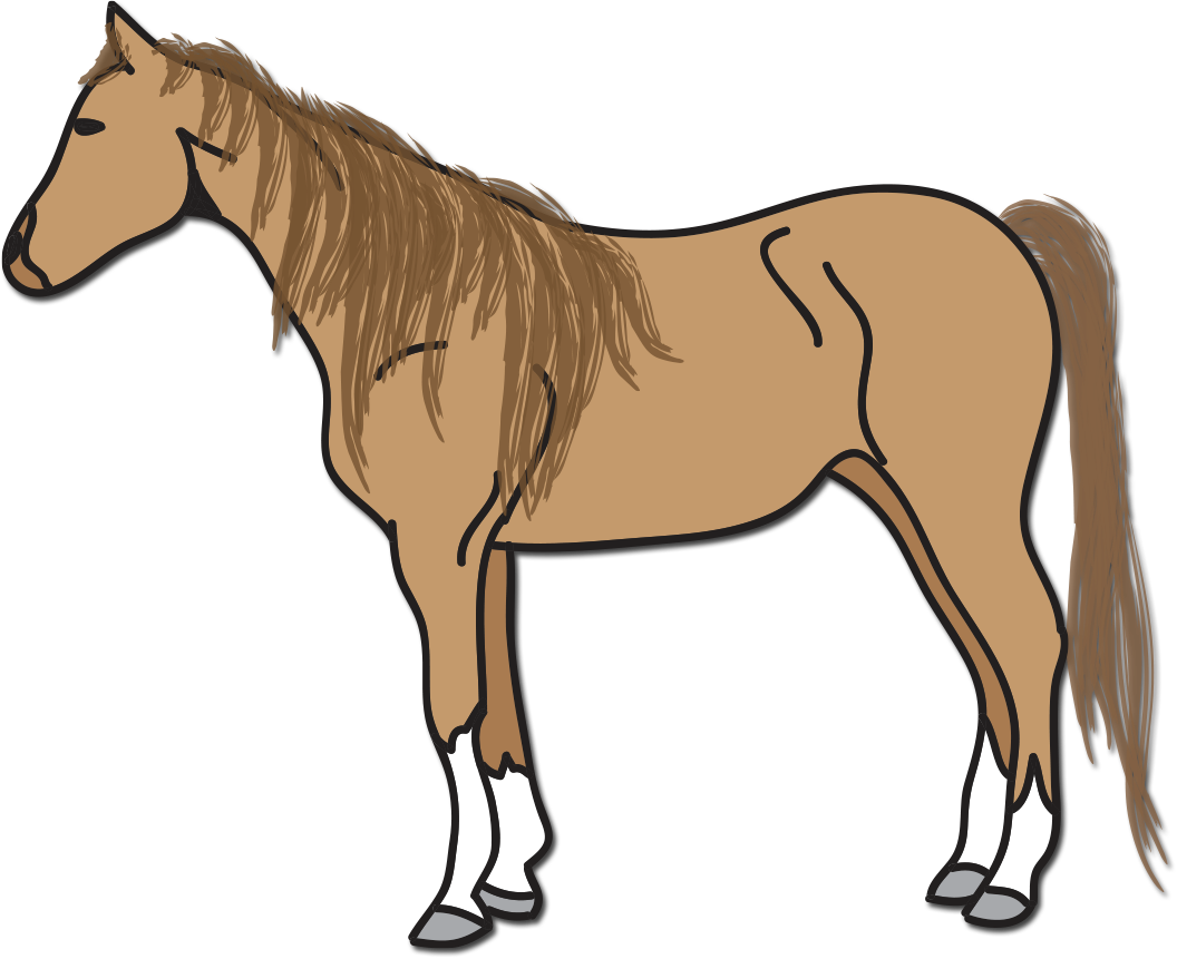 Beautiful drawing of the brown horse clipart free image download