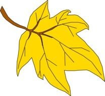 Fall Leaves Clip Art N166