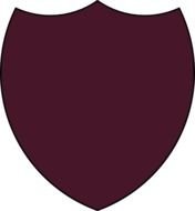 Shield Outline Vector