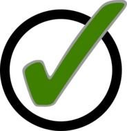 Green Check Mark N11