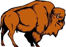 Buffalo Clip Art N29