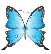Blue Cartoon Butterflies