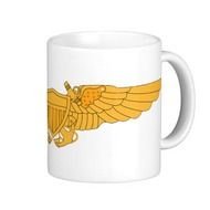 Naval Flight Officer Wings