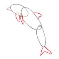 Dolphin Drawing Step By