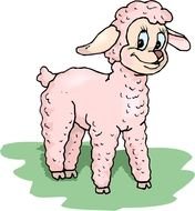 Cartoon pink Sheep drawing